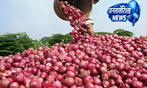 Nashik : युद्ध के बीच प्याज के एक्सपोर्ट में गिरावट, लासलगांव मार्केट में कीमतों में भारी गिरावट Nashik : युद्ध के बीच प्याज के एक्सपोर्ट में गिरावट, लासलगांव मार्केट में कीमतों में भारी गिरावट