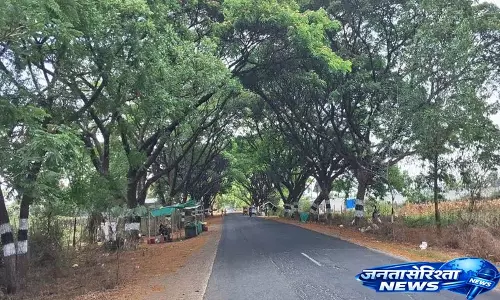 जुलुरुपाडु में Haritha Haram के पेड़ अब छाया देते हैं और राहगीरों की रक्षा करते