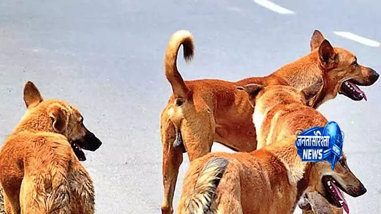 Telangana: जीएचएमसी ने जानवरों के लिए 2,850 पानी के कटोरे रखे Telangana: जीएचएमसी ने जानवरों के लिए 2,850 पानी के कटोरे रखे