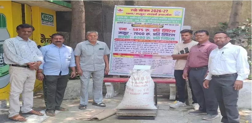 पीएम-आशा अंतर्गत जिले में दलहन-तिलहन फसलों की खरीदी शुरू पीएम-आशा अंतर्गत जिले में दलहन-तिलहन फसलों की खरीदी शुरू