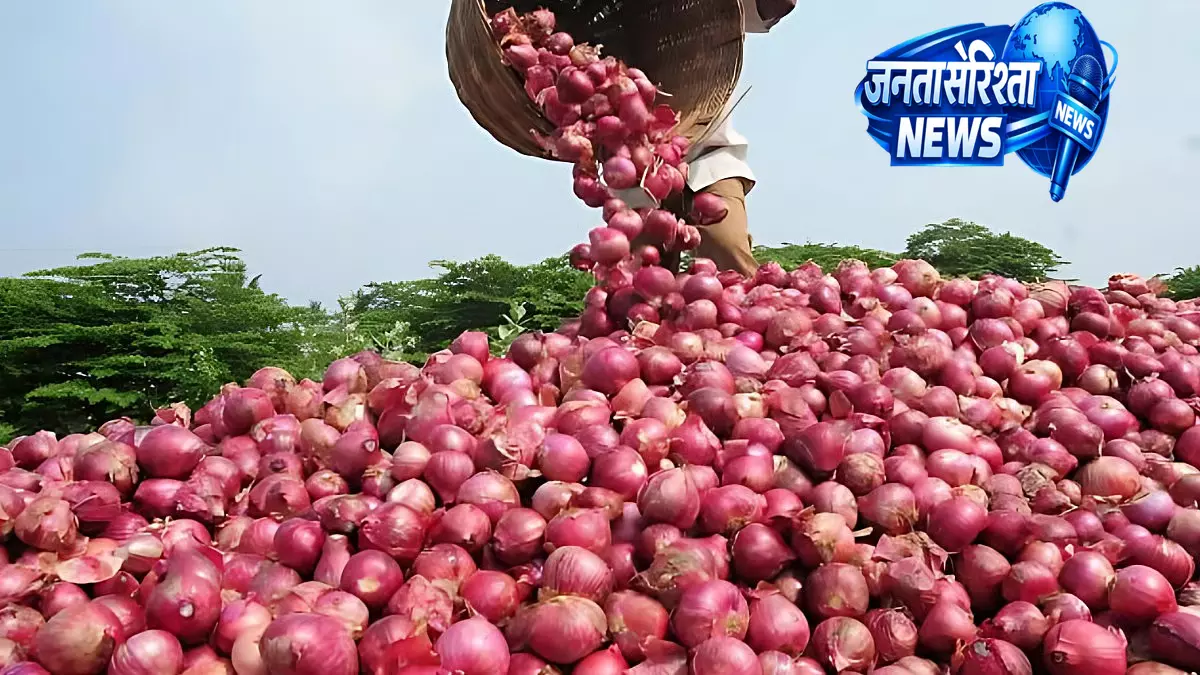 Nashik : युद्ध के बीच प्याज के एक्सपोर्ट में गिरावट, लासलगांव मार्केट में कीमतों में भारी गिरावट Nashik : युद्ध के बीच प्याज के एक्सपोर्ट में गिरावट, लासलगांव मार्केट में कीमतों में भारी गिरावट