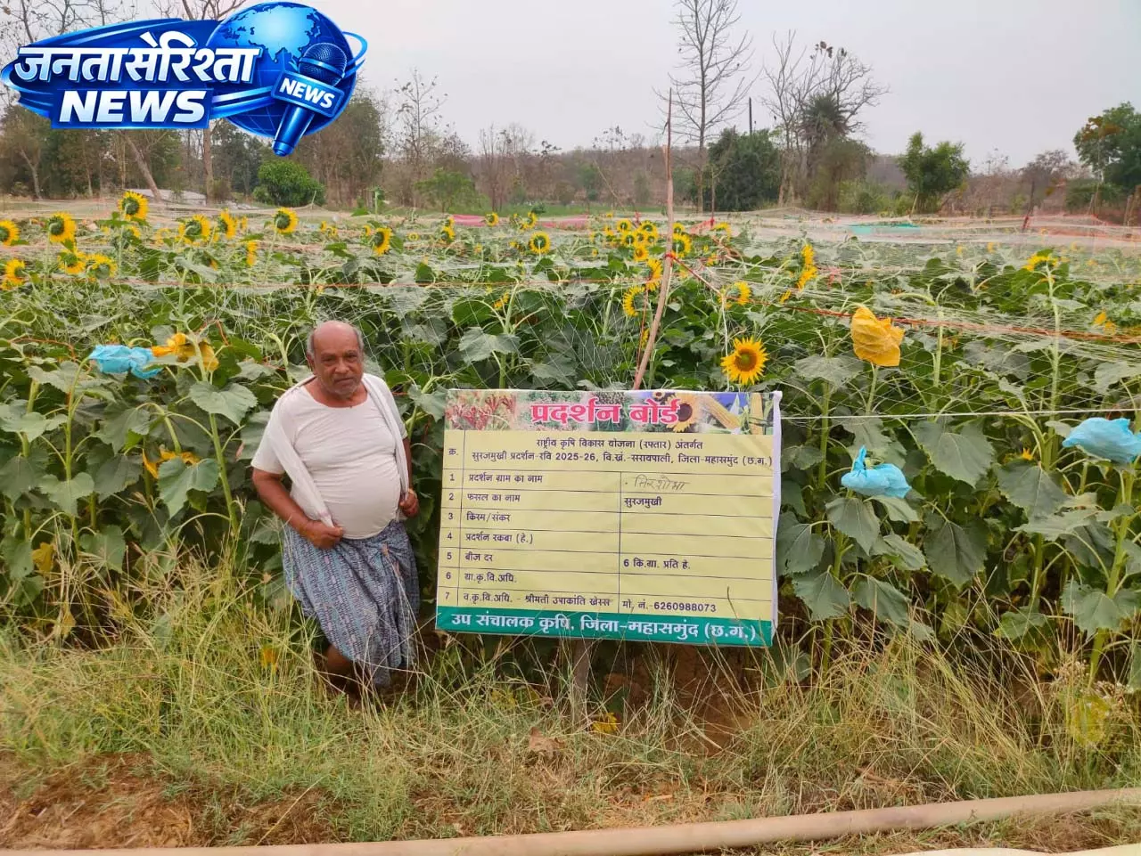 ग्रीष्मकालीन तिलहन खेती से समृद्धि की ओर अग्रसर किसान ग्रीष्मकालीन तिलहन खेती से समृद्धि की ओर अग्रसर किसान