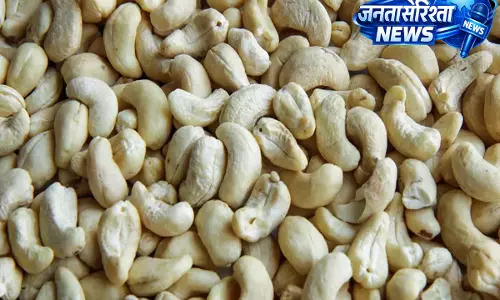 काजू खाएं: जानें क्यों इन्हें अपनी डाइट में शामिल करना फायदेमंद है या नहीं.. काजू खाएं: जानें क्यों इन्हें अपनी डाइट में शामिल करना फायदेमंद है या नहीं..