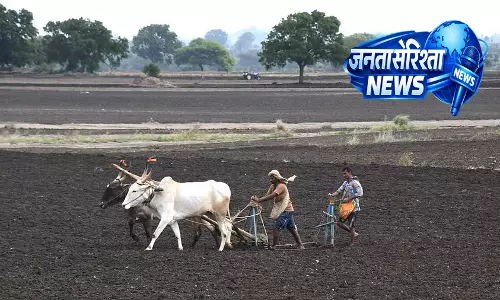 स्टडी में Karnataka के किसानों के लिए कार्बन क्रेडिट का समर्थन किया गया स्टडी में Karnataka के किसानों के लिए कार्बन क्रेडिट का समर्थन किया गया