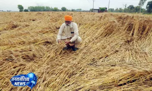 Chandigarh में रात भर हुई सबसे भारी बारिश; पंजाब, हरियाणा के लिए ऑरेंज अलर्ट