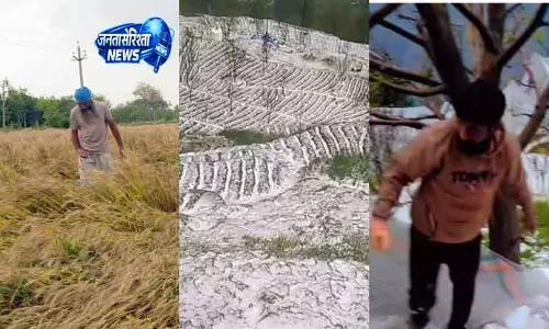 Punjab और हिमाचल में बेमौसम बारिश और बर्फबारी, फसल नुकसान का खतरा