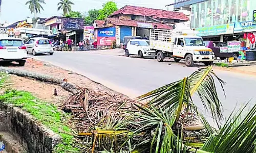 Karnataka : पेड़ हटाने में देरी ,पार्किंग की समस्या Karnataka : पेड़ हटाने में देरी ,पार्किंग की समस्या