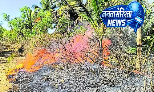 Karnataka : सॉलिड वेस्ट प्लांट से आग फैली, पेड़ जलकर राख हो गए Karnataka : सॉलिड वेस्ट प्लांट से आग फैली, पेड़ जलकर राख हो गए