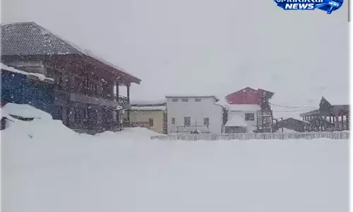 केदारनाथ धाम में भारी बर्फबारी, मंदिर परिसर कई फीट बर्फ से ढका केदारनाथ धाम में भारी बर्फबारी, मंदिर परिसर कई फीट बर्फ से ढका