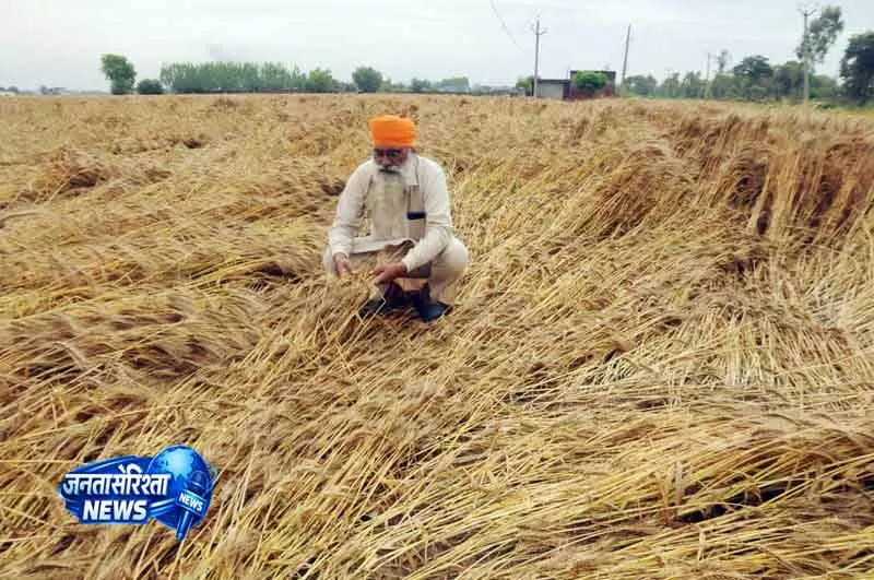 Chandigarh में रात भर हुई सबसे भारी बारिश; पंजाब, हरियाणा के लिए ऑरेंज अलर्ट Chandigarh में रात भर हुई सबसे भारी बारिश; पंजाब, हरियाणा के लिए ऑरेंज अलर्ट