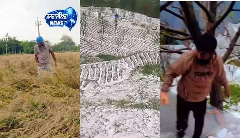 Punjab और हिमाचल में बेमौसम बारिश और बर्फबारी, फसल नुकसान का खतरा Punjab और हिमाचल में बेमौसम बारिश और बर्फबारी, फसल नुकसान का खतरा