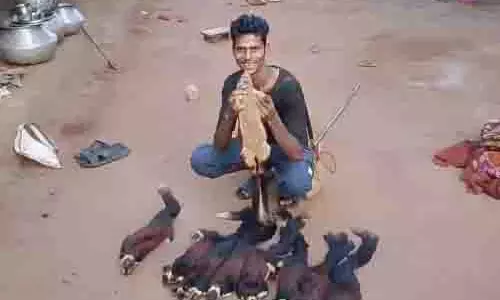 राजकीय पशु शेकरू का शिकार करने वाला पकड़ाया, ऐसे दबोचा गया राजकीय पशु शेकरू का शिकार करने वाला पकड़ाया, ऐसे दबोचा गया