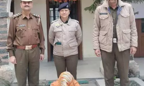 चंडीगढ़ की महिला Shimla में नशीले पदार्थ के साथ गिरफ्तार चंडीगढ़ की महिला Shimla में नशीले पदार्थ के साथ गिरफ्तार