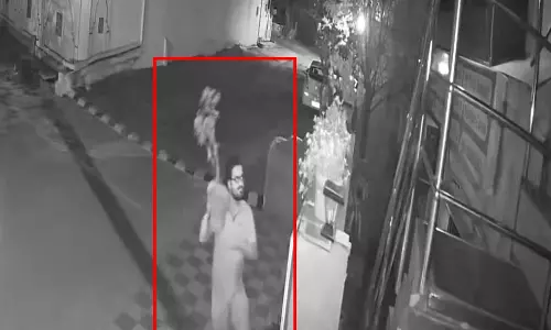 Raipur Breaking: टैगोर नगर में पौधों की चोरी, युवक CCTV में कैद