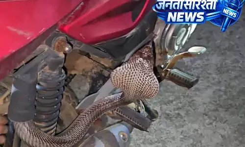 CG: बाइक सीट के नीचे मिला 6 फीट का कोबरा, रेस्क्यू टीम ने सुरक्षित निकाला