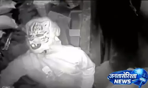 Lion mask पहनकर किराने की दुकान में चोरी Lion mask पहनकर किराने की दुकान में चोरी