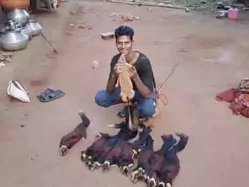 राजकीय पशु शेकरू का शिकार करने वाला पकड़ाया, ऐसे दबोचा गया राजकीय पशु शेकरू का शिकार करने वाला पकड़ाया, ऐसे दबोचा गया