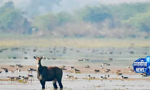 MoEFCC के संयुक्त सचिव ने ओडिशा में महत्वाकांक्षी योजनाओं का निरीक्षण किया