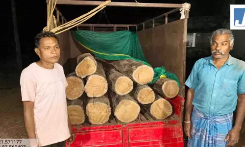 अवैध सागौन परिवहन पर वन विभाग की बड़ी कार्रवाई, वाहन सहित लकड़ी जब्त