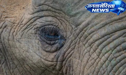 Odisha : अंगुल में हाथी के हमले में महिला और उसकी नाबालिग बेटी की मौत Odisha : अंगुल में हाथी के हमले में महिला और उसकी नाबालिग बेटी की मौत