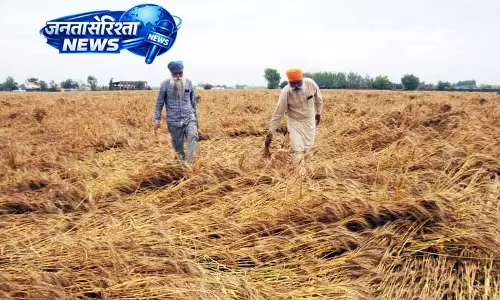 Punjab गेहूं खरीद में राजस्थान जैसी छूट की मांग करेगा Punjab गेहूं खरीद में राजस्थान जैसी छूट की मांग करेगा