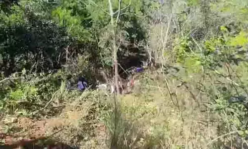 भीषण हादसा: ट्रैक्टर-ट्रॉली खाई में गिरी, तीन श्रद्धालुओं की मौत, कई घायल भीषण हादसा: ट्रैक्टर-ट्रॉली खाई में गिरी, तीन श्रद्धालुओं की मौत, कई घायल