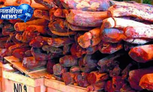 रेड सैंडर्स तस्करी मामले में आरोपी को 5 साल की सजा, तिरुपति RSS कोर्ट का बड़ा फैसला रेड सैंडर्स तस्करी मामले में आरोपी को 5 साल की सजा, तिरुपति RSS कोर्ट का बड़ा फैसला