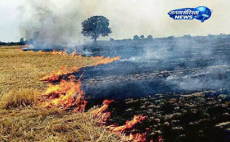 Punjab ने खेतों में आग पर काबू पाया, राष्ट्रीय पहचान मिली Punjab ने खेतों में आग पर काबू पाया, राष्ट्रीय पहचान मिली
