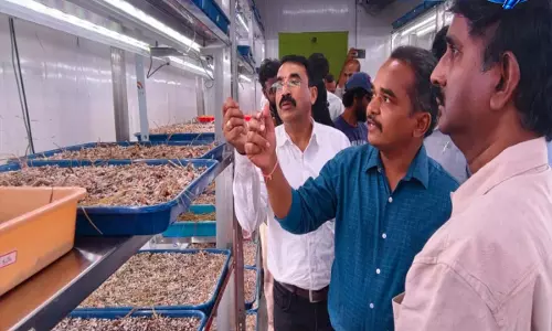 Telangana: वानापर्थी जिले में केसर रिसर्च लैब का उद्घाटन Telangana: वानापर्थी जिले में केसर रिसर्च लैब का उद्घाटन
