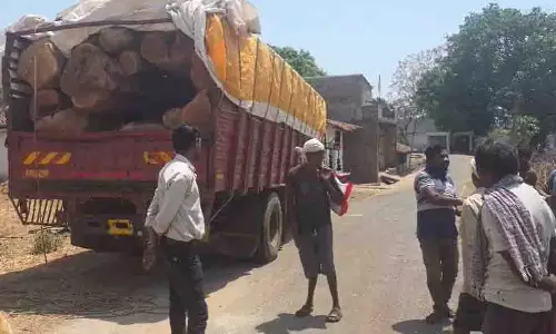 DFO का एक्शन, कर्तव्य में लापरवाही बरतने पर वन रक्षक को किया निलंबित DFO का एक्शन, कर्तव्य में लापरवाही बरतने पर वन रक्षक को किया निलंबित