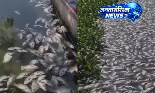 Pune : सीवेज लीकेज से पाषाण झील में मछलियों की मौत, PMC के 4 अधिकारी सस्पेंड Pune : सीवेज लीकेज से पाषाण झील में मछलियों की मौत, PMC के 4 अधिकारी सस्पेंड