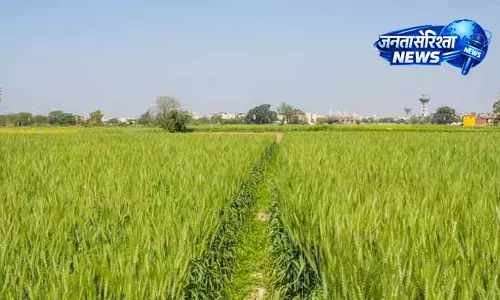 Punjab: किसान की मौत, जमीन बेचने के झूठे वादे का मामला Punjab: किसान की मौत, जमीन बेचने के झूठे वादे का मामला