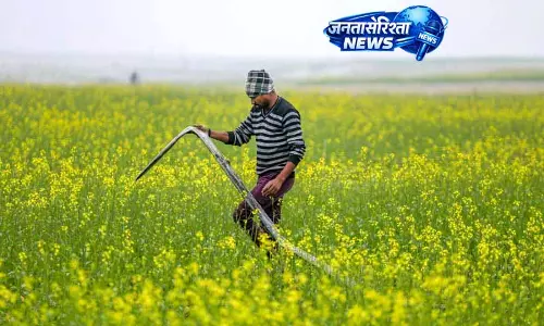 Punjab में मौसम की मार, फूल और सब्ज़ियां प्रभावित Punjab में मौसम की मार, फूल और सब्ज़ियां प्रभावित