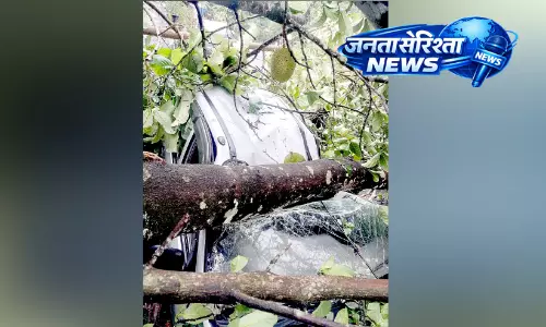 Kerala : पेड़ गिरने से कार क्षतिग्रस्त हो गई Kerala : पेड़ गिरने से कार क्षतिग्रस्त हो गई
