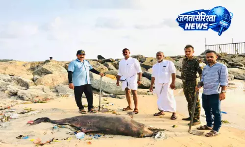 Kerala : सैंडबैंक्स बीच पर फंसी डॉल्फिन Kerala : सैंडबैंक्स बीच पर फंसी डॉल्फिन