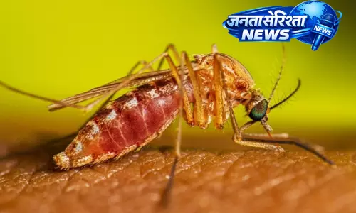 Assam : भारी बारिश से डूमडूमा में मच्छरों का प्रकोप