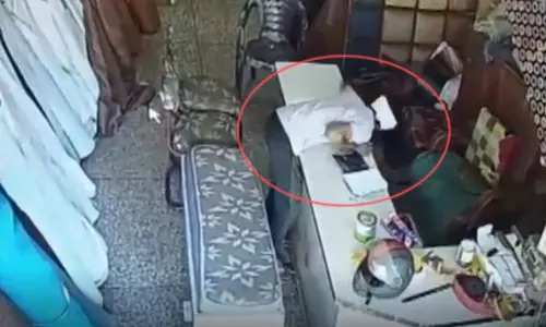 गल्ला साफ किया, गद्दे की दुकान को दिनदहाड़े शातिर चोर ने बनाया निशाना गल्ला साफ किया, गद्दे की दुकान को दिनदहाड़े शातिर चोर ने बनाया निशाना