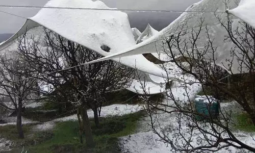 Himachal: मुख्य फसल बीमा योजना के दायरे का विस्तार प्रस्तावित Himachal: मुख्य फसल बीमा योजना के दायरे का विस्तार प्रस्तावित