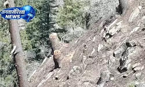 Himachal: वन विभाग की निष्क्रियता पर सवाल उठे