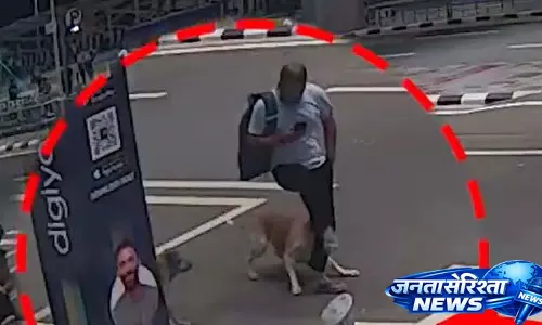 Delhi Airport पर आवारा कुत्तों के काटने के बढ़ते मामलों के बीच सुरक्षा उपायों की सलाह दी गई Delhi Airport पर आवारा कुत्तों के काटने के बढ़ते मामलों के बीच सुरक्षा उपायों की सलाह दी गई