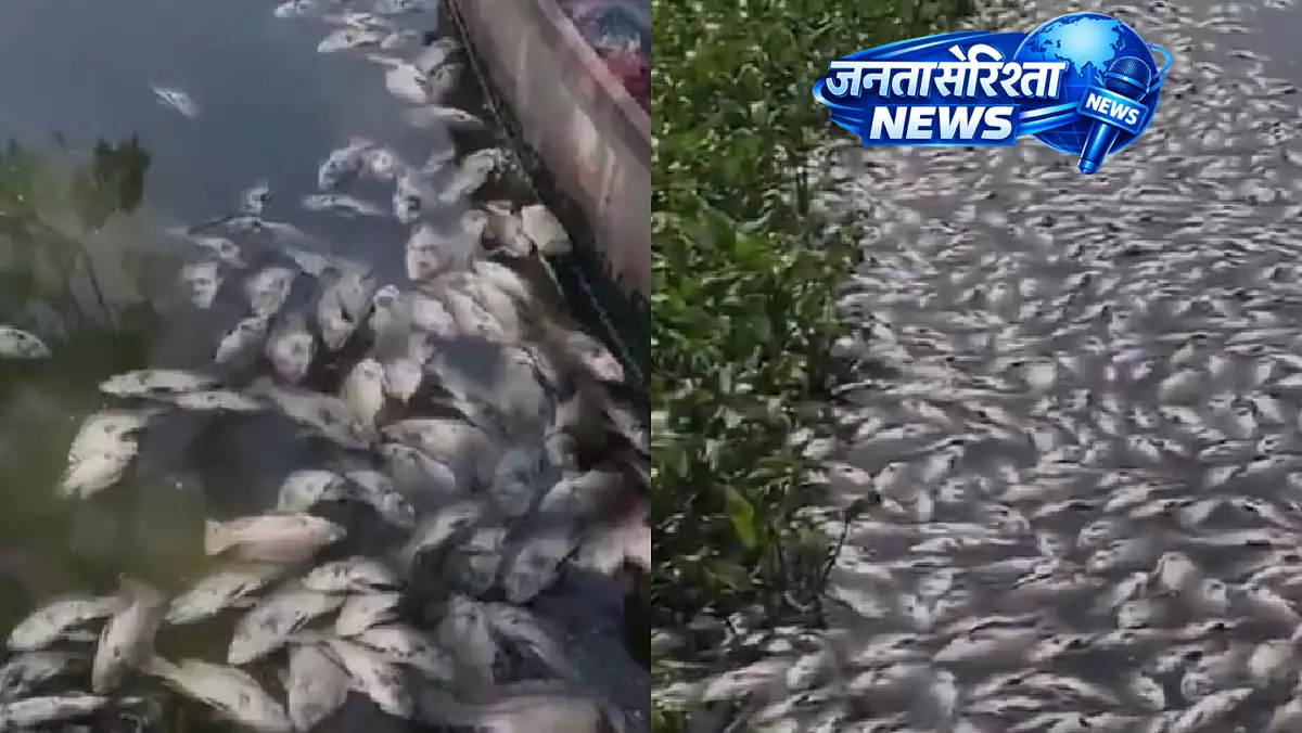 Pune : सीवेज लीकेज से पाषाण झील में मछलियों की मौत, PMC के 4 अधिकारी सस्पेंड Pune : सीवेज लीकेज से पाषाण झील में मछलियों की मौत, PMC के 4 अधिकारी सस्पेंड