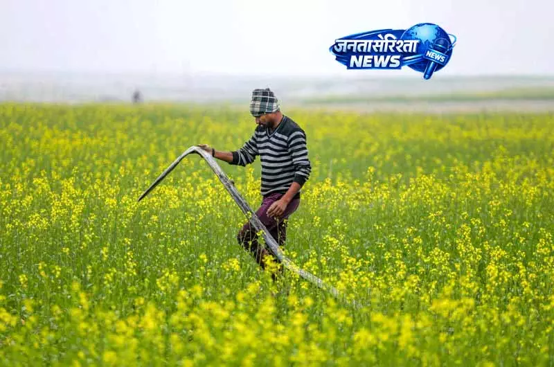 Punjab में मौसम की मार, फूल और सब्ज़ियां प्रभावित Punjab में मौसम की मार, फूल और सब्ज़ियां प्रभावित