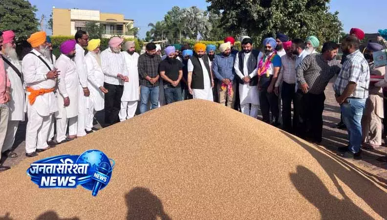 Mandi अधिकारियों के साथ बैठक में कार्ययोजना पर चर्चा Mandi अधिकारियों के साथ बैठक में कार्ययोजना पर चर्चा