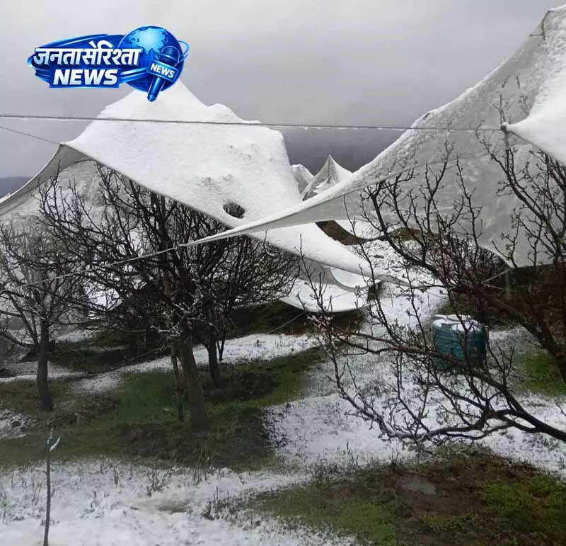 Himachal: मुख्य फसल बीमा योजना के दायरे का विस्तार प्रस्तावित Himachal: मुख्य फसल बीमा योजना के दायरे का विस्तार प्रस्तावित