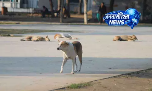 Sirsa गांव में आवारा कुत्तों के हमले में 9 साल का बच्चा घायल