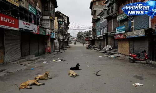संघर्ष से साथ तक: Kashmir के कुत्ते और बिल्लियाँ घर के अंदर रहते हैं