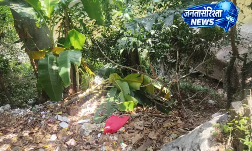 Kerala : सड़क सफाई कर्मचारी पूनूर नदी में कचरा फेंक रहा है Kerala : सड़क सफाई कर्मचारी पूनूर नदी में कचरा फेंक रहा है