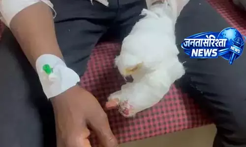 गन्ना जूस मशीन में फंसा 16 वर्षीय नाबालिग का हाथ, चार उंगलियां गंभीर गन्ना जूस मशीन में फंसा 16 वर्षीय नाबालिग का हाथ, चार उंगलियां गंभीर