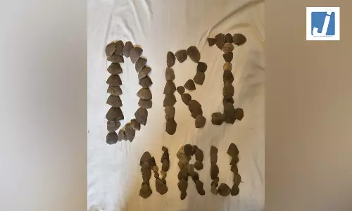 DRI ने 16.528 किलो पैंगोलिन स्केल्स किया बरामद, तीन गिरफ्तार