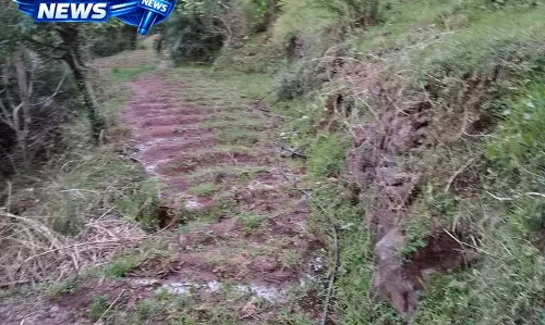 Solan में बारिश का कहर, कृषि उत्पादन पर संकट